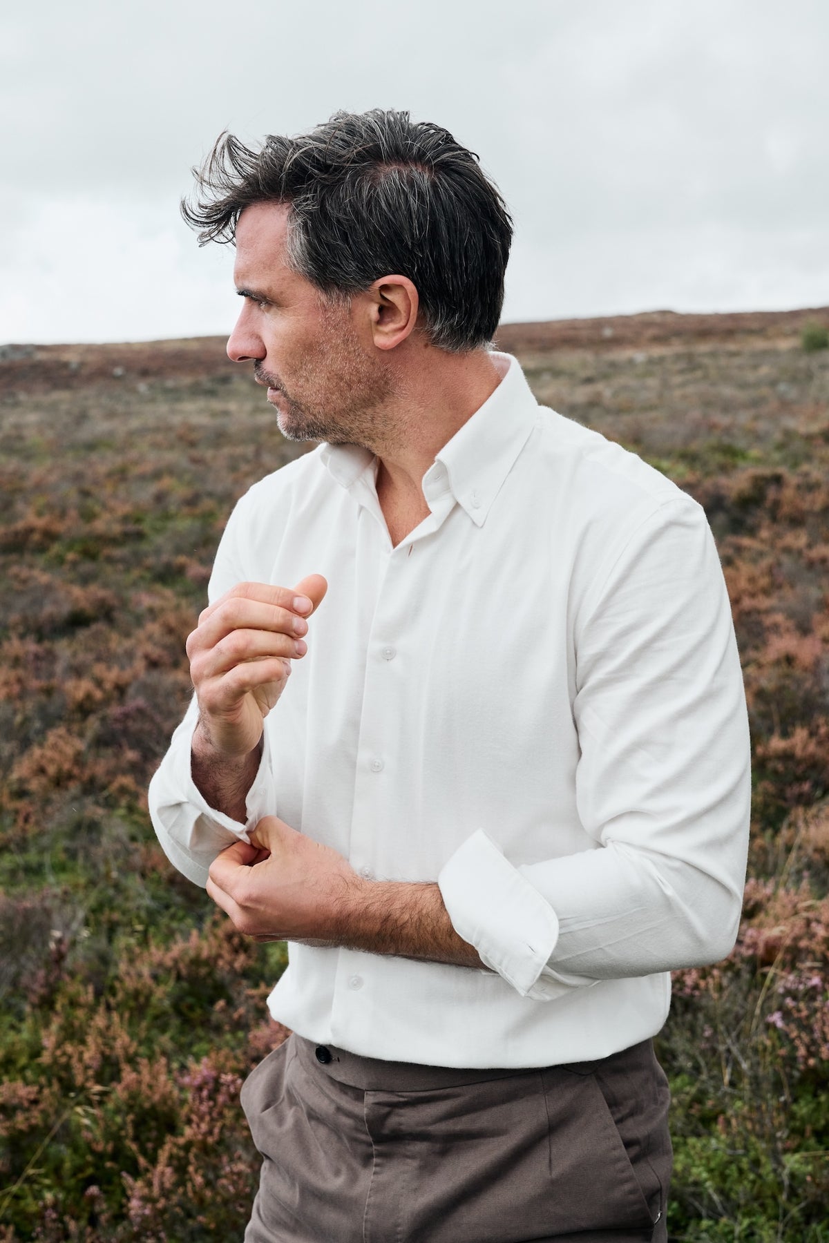Button Down Collar Shirt in Ivory Brushed Cotton